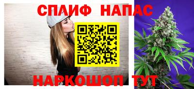 СК Будённовск