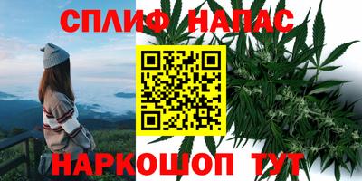СК Бугуруслан