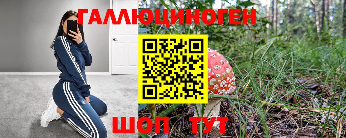 Псилоцибиновые грибы мицелий Рязань