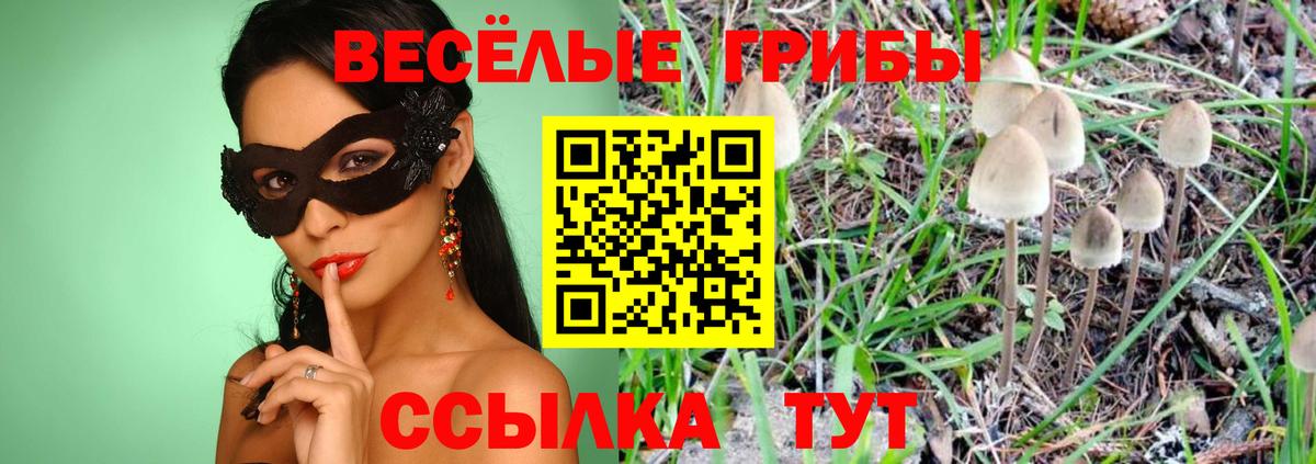 Рязань  Галлюциногенные грибы Cubensis  Вход с VPN  Галлюциногенные грибы прущие грибы 